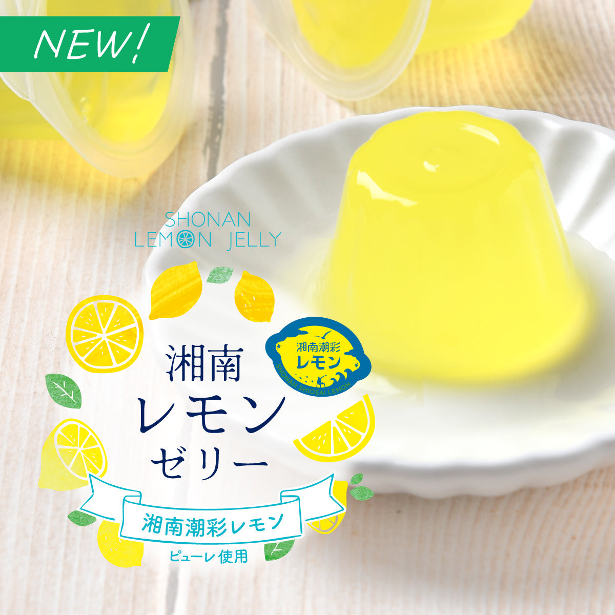 ☆新商品☆湘南レモンゼリー – しいの食品