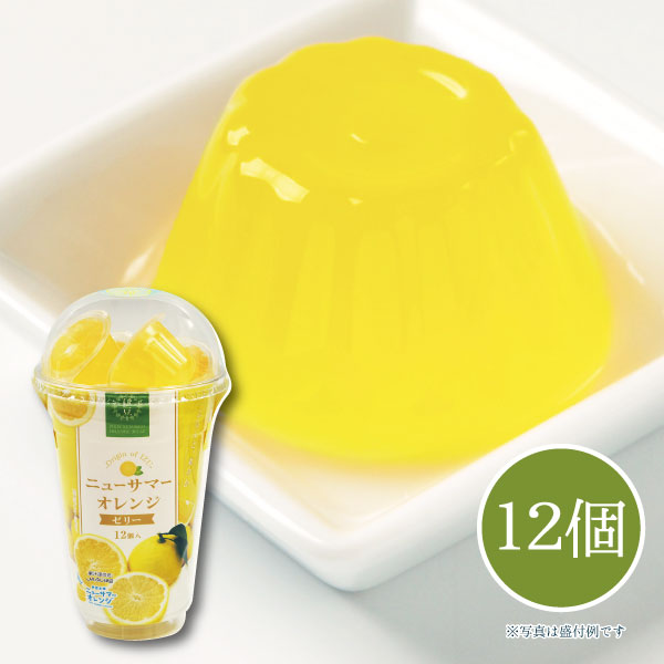 伊豆ニューサマーオレンジゼリー 12個