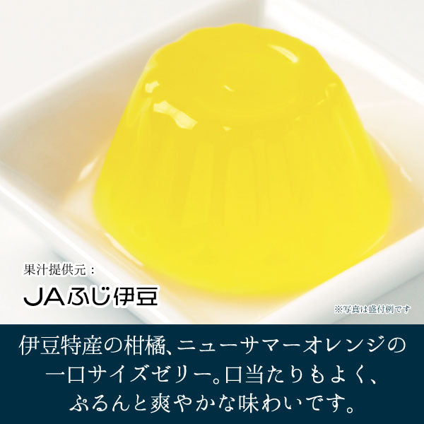 伊豆ニューサマーオレンジゼリー_盛り付け例