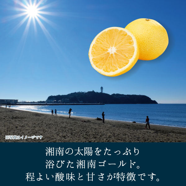 湘南ゴールドグミゼリー 80g 湘南ゴールド 説明