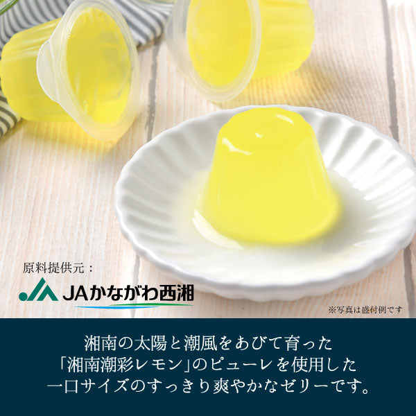 湘南レモンゼリー