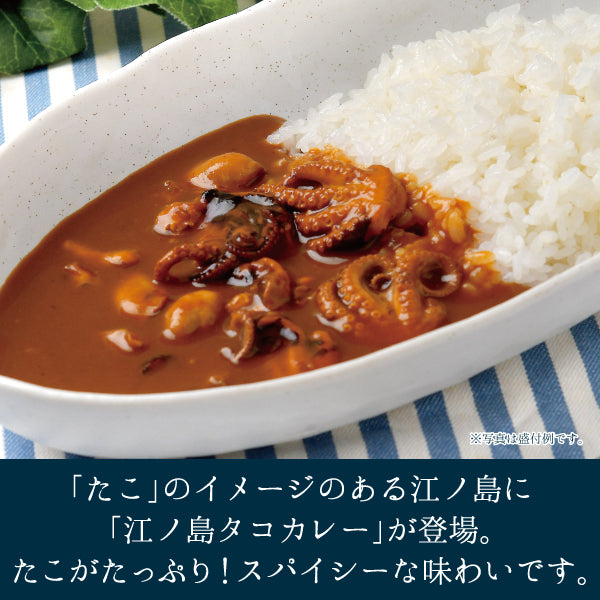 江ノ島タコカレー 1人前 説明