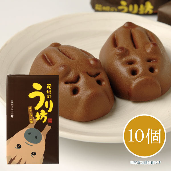 箱根のうり坊(チョコバナナ味) 10個 【しいの食品 公式オンライン