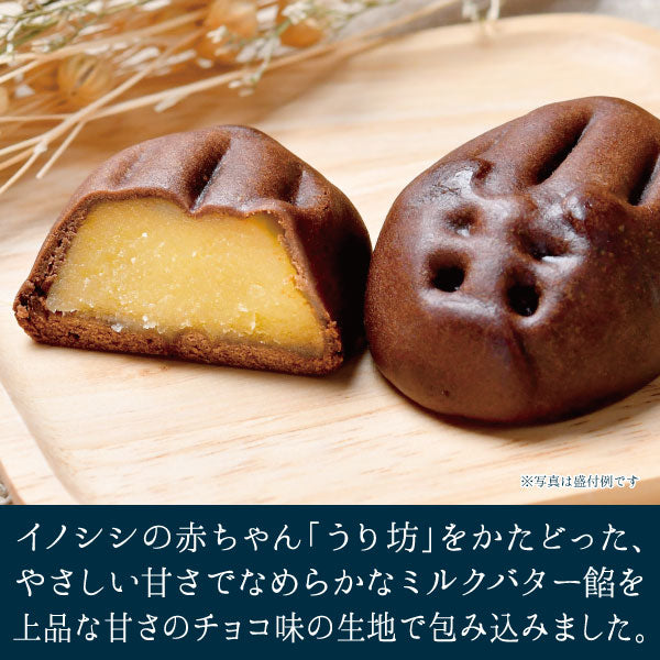 箱根のうり坊(チョコ風味)