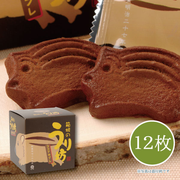 箱根のうり坊 ココアサブレ 12枚入