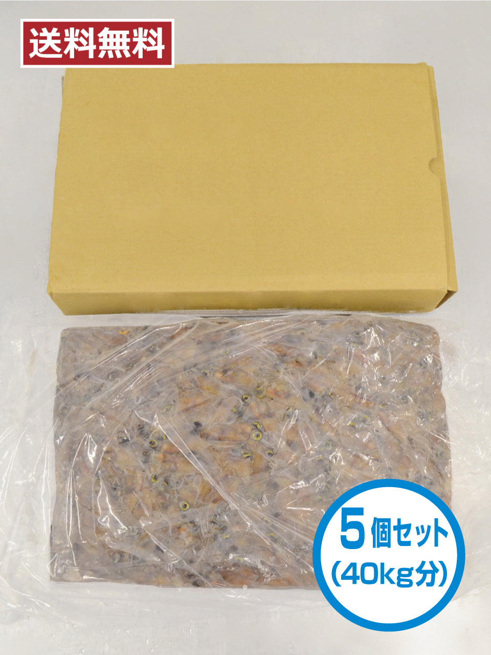 【送料無料】釣り用 ホタルイカ冷凍原料 8㎏