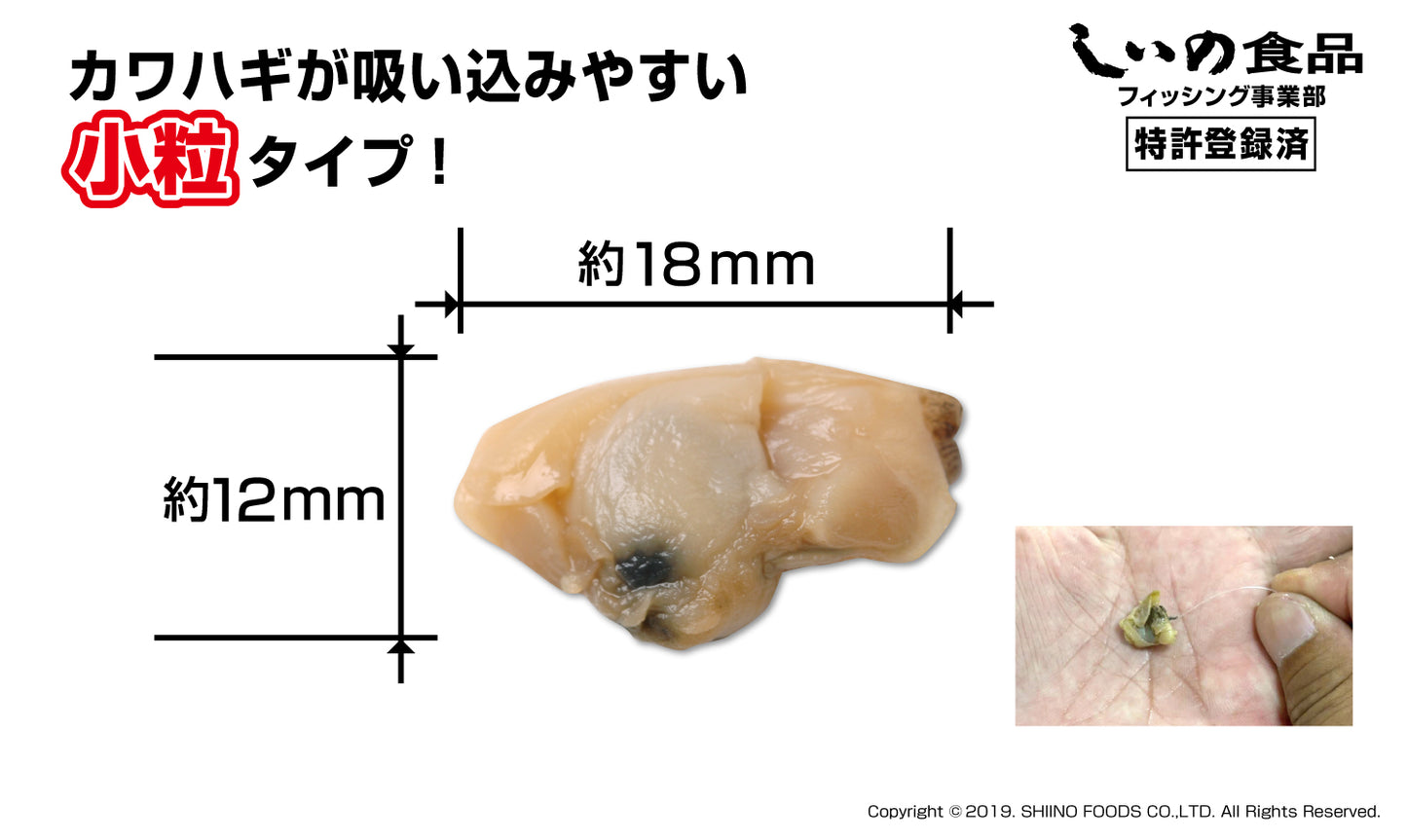 【送料無料】集魚戦隊アサリレンジャーセット