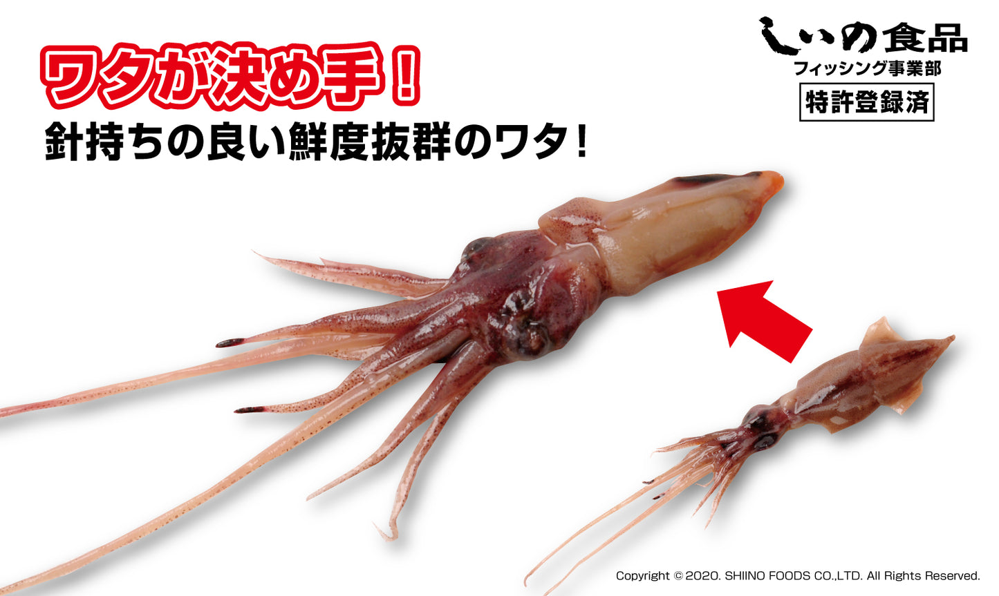 【人気】集魚戦隊蛍イカレンジャー