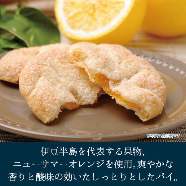 伊豆ニューサマーオレンジパイ_盛り付け例