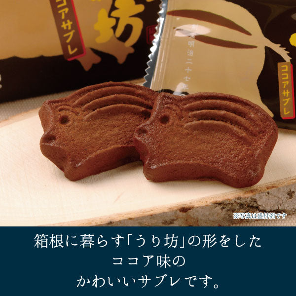 うり坊ココアサブレ_盛り付け例