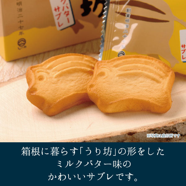 うり坊ミルクバターサブレ_盛り付け例