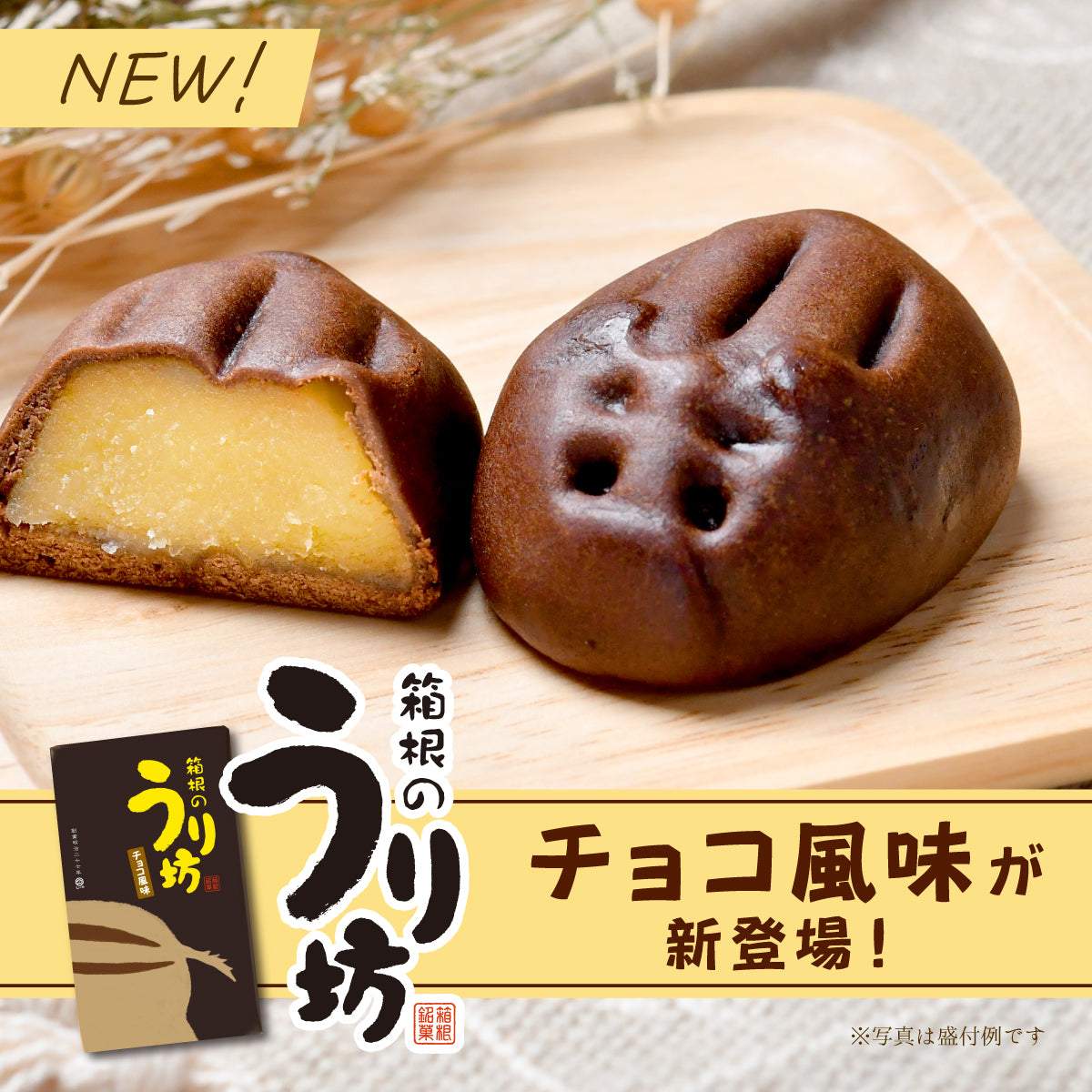 ★新商品★箱根のうり坊【チョコ風味】