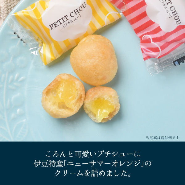 伊豆ニューサマーオレンジプチシュー 20個入