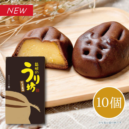 箱根のうり坊(チョコ風味）