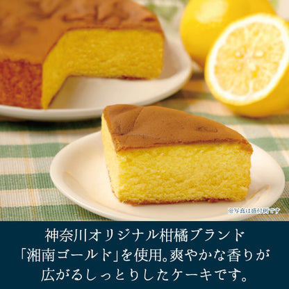 湘南ゴールドケーキ